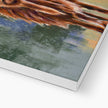 Highland Cow fine art canvas print. Close up of bottom corner and white wrap