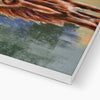 Highland Cow fine art canvas print. Close up of bottom corner and white wrap