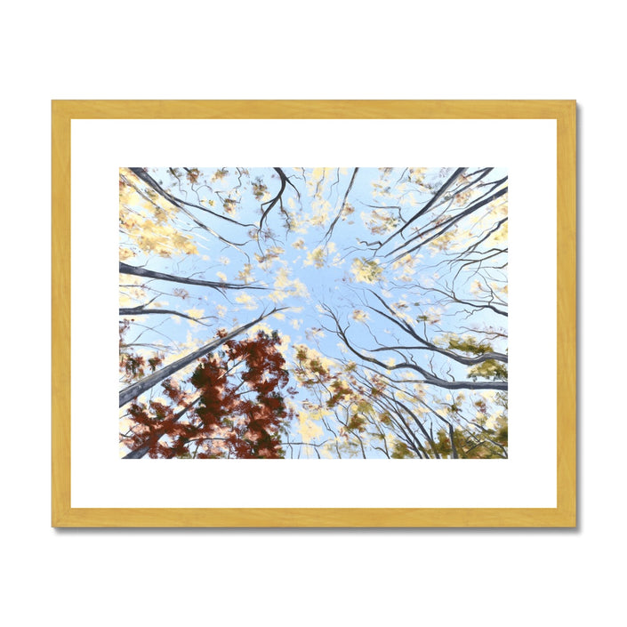 Autumn Tree Canopy artwork. Fine art print in gold frame with white mount. Landscape orientation.