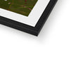 Single white daisy flower fine art print with black frame and white mount. corner detail