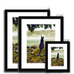 Black cat surveying the misty landscape, painting. Fine art prints in a black frame with white mount. Different sizes