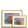 Scottish Highland Cow painting, fine art prints in a gold frame with a white mount. Different sizes