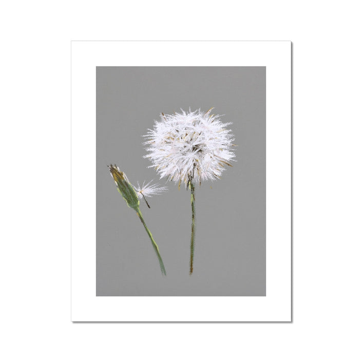 Dandelion art. Fine art art print. Grey and white