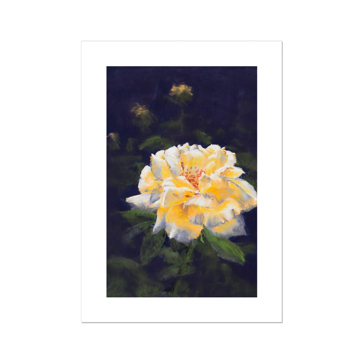 Elegant yellow rose on dark violet background artwork, fine art canvas print. 