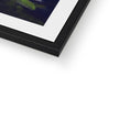 Yellow rose artwork print with black frame and white mount. corner detail