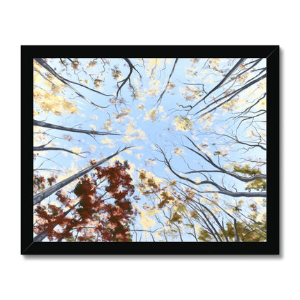 Autumn tree canopy artwork, fine art print in black frame. 