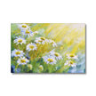 Daisy Flowers in the Sunshine Eco and Vegan-friendly Canvas fine art print. Landscape format.