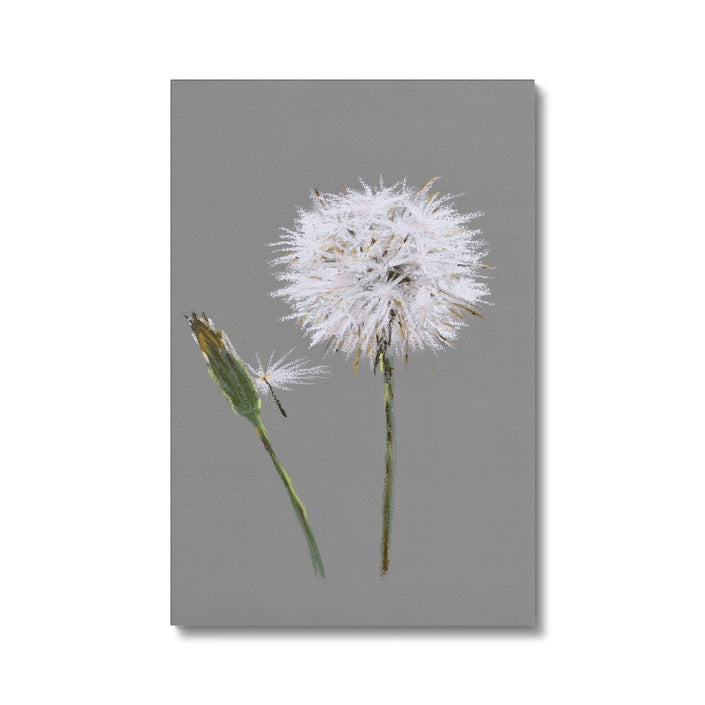 Dandelion art, eco-friendly canvas fine art print. Grey and white