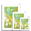 Dandelion seed heads and grasses fine art prints. Different sizes