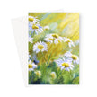 Beautiful white daisy flowers illuminated by the sun's rays, floral artwork greeting card. Portrait orientation