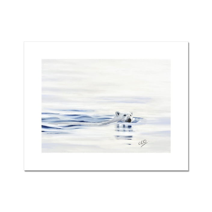 Polar Bear swimming. Artwork print. 