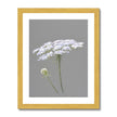 White and grey floral artwork illustration. Fine art print in gold frame.