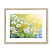 Daisy flowers twinkle in the sunshine, fine art print in a natural frame with a white mount