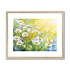 Daisy flowers twinkle in the sunshine, fine art print in a natural frame with a white mount