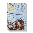 Fall Trees artwork hardback journal