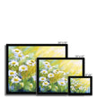 White daisy flowers artwork fine art prints in a black frame. Different sizes