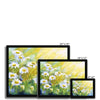 White daisy flowers artwork fine art prints in a black frame. Different sizes