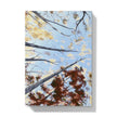 Tree canopy artwork hard back journal