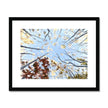 Autumn tree canopy artwork, fine art print in black frame with white mount. 