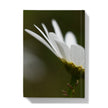 Flower, macro image, hardback journal. back cover