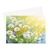 Beautiful white daisy flowers illuminated by the sun's rays, floral artwork greeting card. Landscape orientation