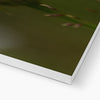 White daisy flower canvas print. White wrap. bottom corner detail.