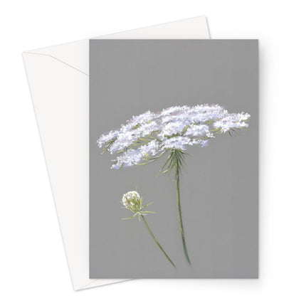 Queen Anne's Lace Flower, floral art illustration greeting card. 