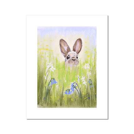 Cute rabbit peeping over the meadow flowers painting. Fine art print. 