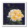 Yellow rose artwork print with white frame. Square format.