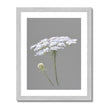 White and grey floral artwork print in silver frame