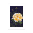 Yellow Rose on Dark Violet background artwork, canvas fine art print.