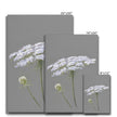 White and grey floral canvas art prints. Different sizes 