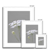 White and grey floral art prints in white frame with white mount. Different sizes