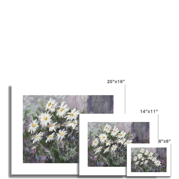 Colourful, modern daisy flowers art prints with white border. Different sizes