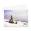 Delicate winter landscape with little fir trees covered in snow, art greeting card. Landscape orientation