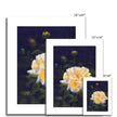 Yellow rose fine art prints. Different sizes.