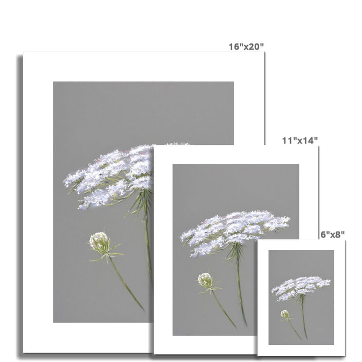 Grey and white floral art illustration, fine art prints. Different sizes