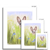 Rabbit in the meadow flowers painting. Fine art prints. Different sizes