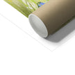 Cute rabbit fine art print. Unframed. Corner detail and cardboard tube for shipping purposes 