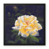 Yellow rose artwork canvas print with a black picture frame. Square art print 