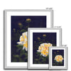 Yellow rose artwork prints in silver frame with white mount. Different sizes