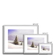 Beautiful crisp winter landscape with snow topped trees, fine art prints in silver frame with white mount. Different sizes