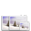 Winter landscape painting with fir trees covered in snow, art prints in white frame. Different sizes