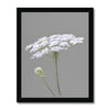 Single white flower on grey background. Artwork fine art print with black frame. Portrait orientation.