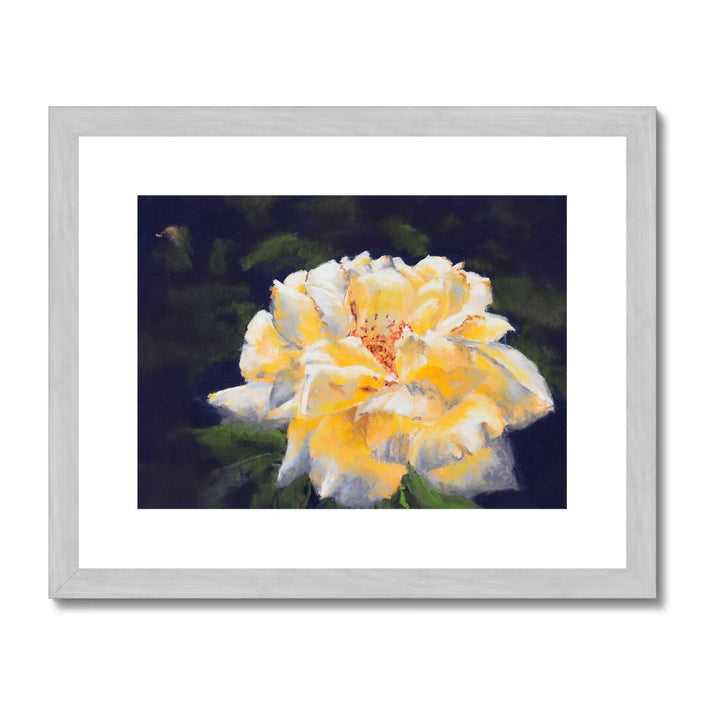 Yellow rose artwork print in silver frame with white mount.