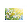 Stunning white daisy flowers illuminated by the suns rays, artwork, canvas fine art print