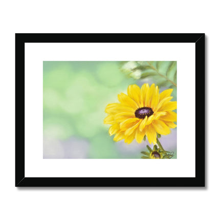 Yellow Dahlia Flower artwork print in a black frame with white mount