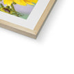 Yellow Daisy - Framed & Mounted Print