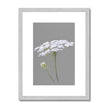 Grey and white botanical illustration print in silver frame