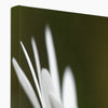 White Daisy Flower fine art canvas print. Image wrap 